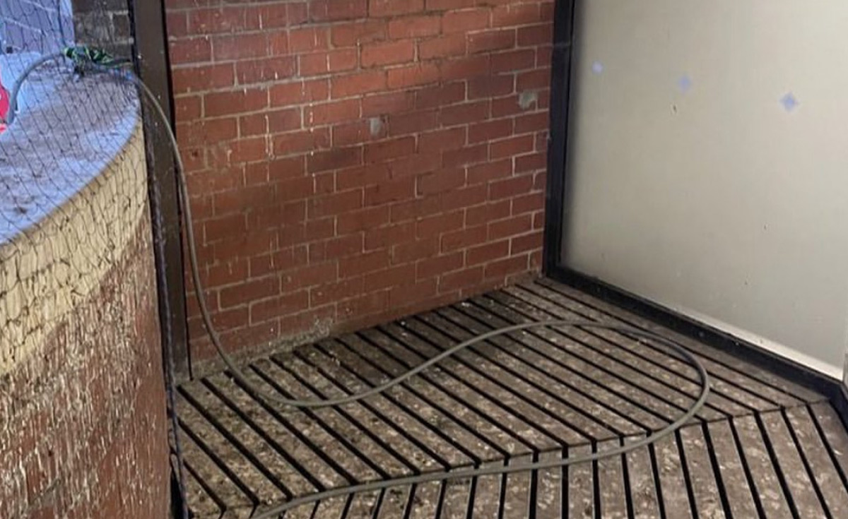 Bird dropping clean-up and disinfection services by Network Pest Control in Geelong - before