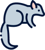 Possum Management icon